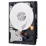 Western Digital Dysk HDD Blue WD10EZEX (1 TB ; 3.5 ; SATA III; 64 MB; 7200 obr/min)