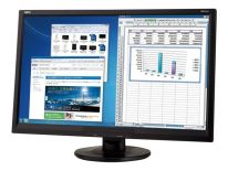 NEC Monitor AS242W 24inch, mini D-Sub/DVI
